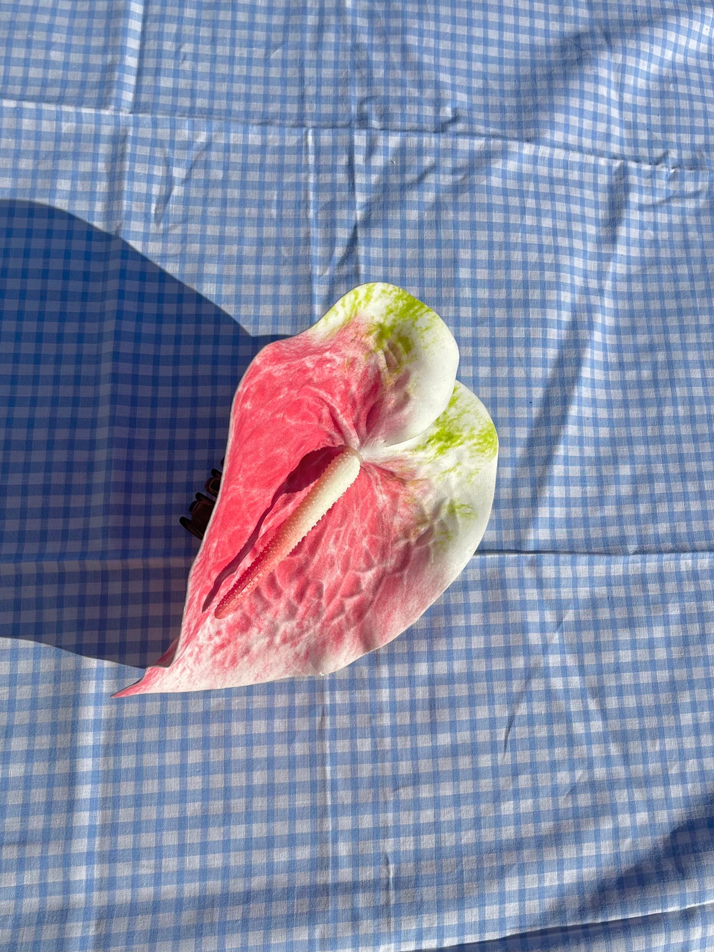 Pince Anthurium