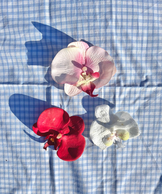 Pince orchidée