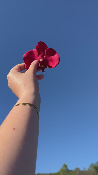 Pince orchidée