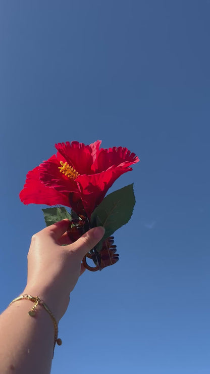 Pince Hibiscus